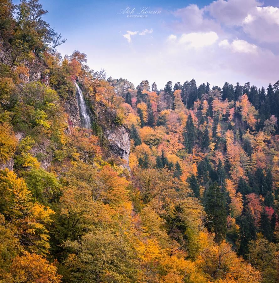 Day In Borjomi Apartment ภายนอก รูปภาพ